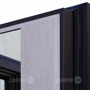 Входная металлическая Дверь Шелтер (SHELTER) Филадельфия Зеркало в Красноармейске