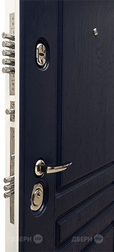 Входная металлическая Дверь Сударь МД-45 в Красноармейске