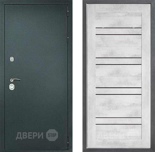 Входная металлическая Дверь Дверной континент Рубикон Серебро Дизайн ФЛ-49 Бетон снежный в Красноармейске
