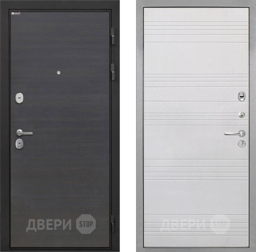 Входная металлическая Дверь Интекрон (INTECRON) Гектор Эковенге ФЛ-316 Белый ясень в Красноармейске