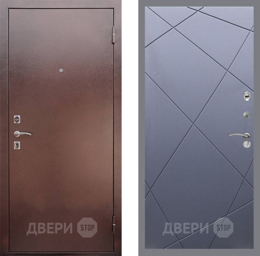 Входная металлическая Дверь Рекс (REX) 1 FL-291 Силк титан в Красноармейске