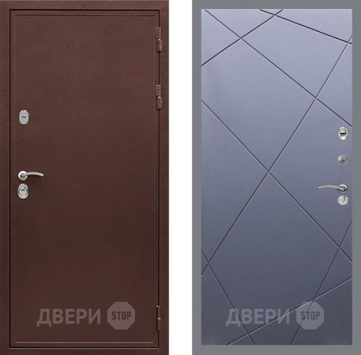 Дверь Рекс (REX) 5 металл 3 мм FL-291 Силк титан в Красноармейске